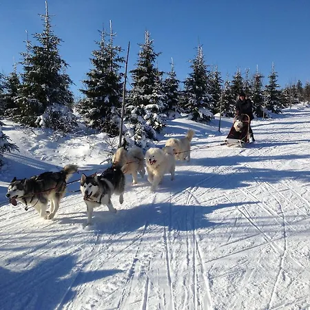 Hotel Astoria With Private Skibus