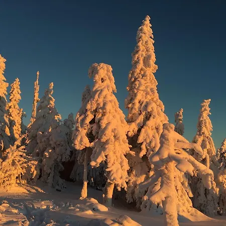 Astoria With Private Skibus 2* Janské Lázně