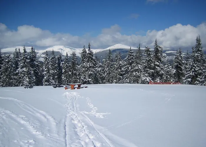 Astoria With Private Skibus