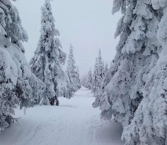Hotel Astoria With Private Skibus 2*