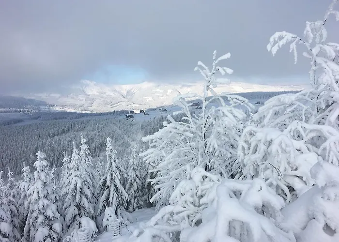 Hotel Astoria With Private Skibus 2*