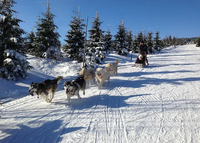 Hotel Astoria With Private Skibus