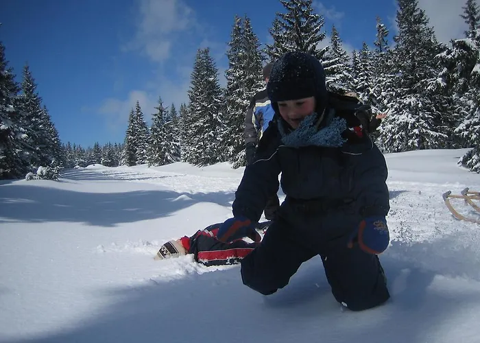 Hotel Astoria With Private Skibus