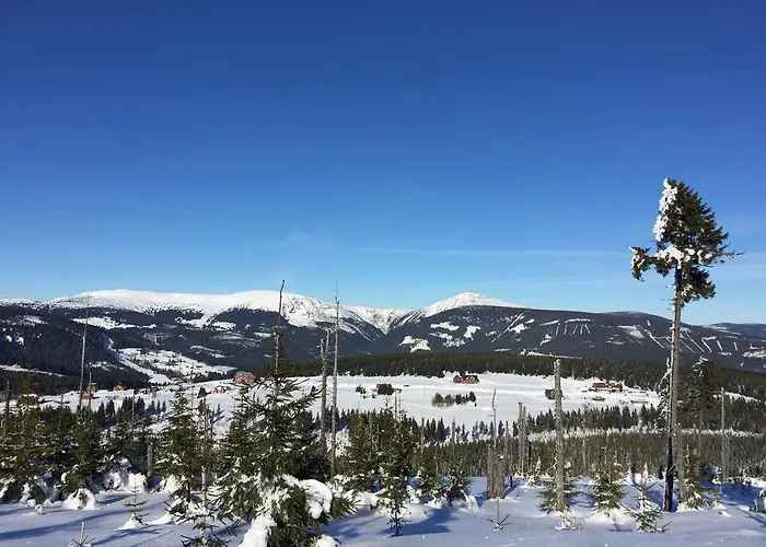 Astoria With Private Skibus 2*