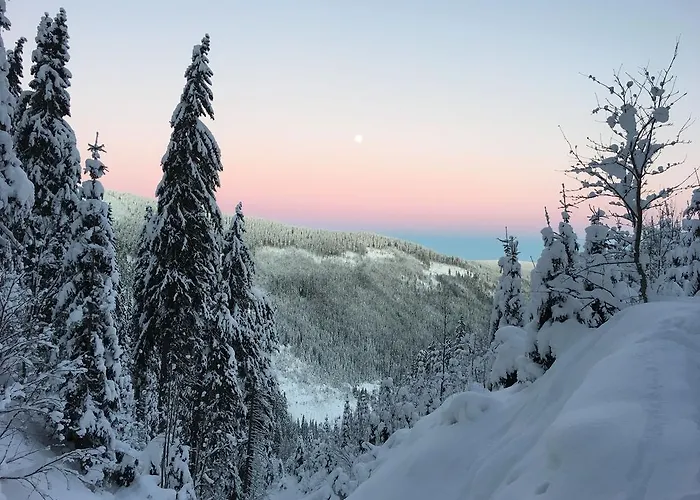 Astoria With Private Skibus Janské Lázně