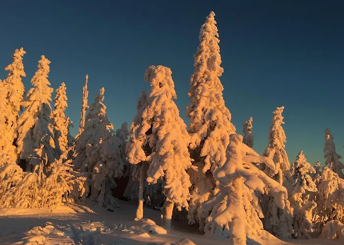 Astoria With Private Skibus 2* Janské Lázně