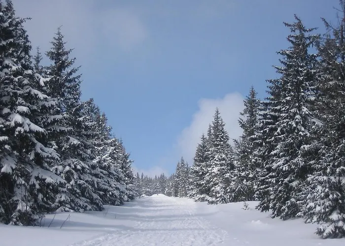 Astoria With Private Skibus Hotel Janské Lázně