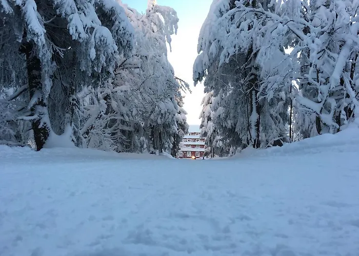 Hotel Astoria With Private Skibus 2*