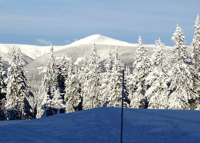 Astoria With Private Skibus Janské Lázně