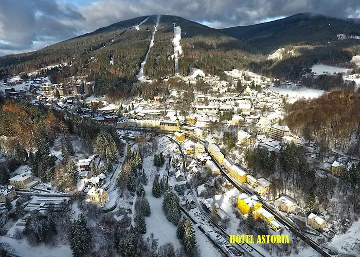 Astoria With Private Skibus 2*